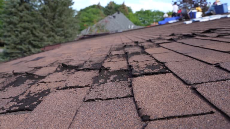 Fast & Reliable Emergency Roof Repairs in Millsboro, DE