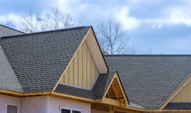 Best Roof Ventilation Installation  in Millsboro, DE